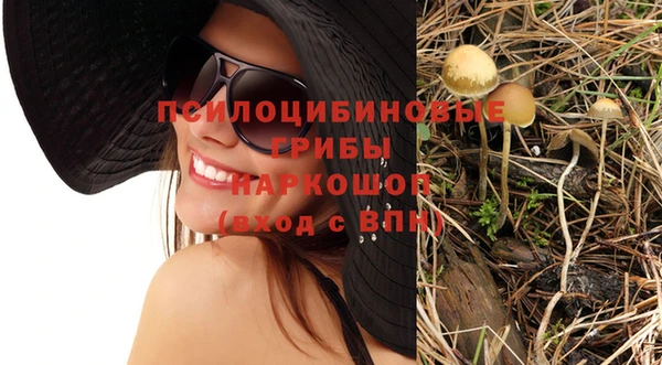 трава Михайловка