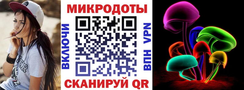 Галлюциногенные грибы Psilocybine cubensis  Петрозаводск 