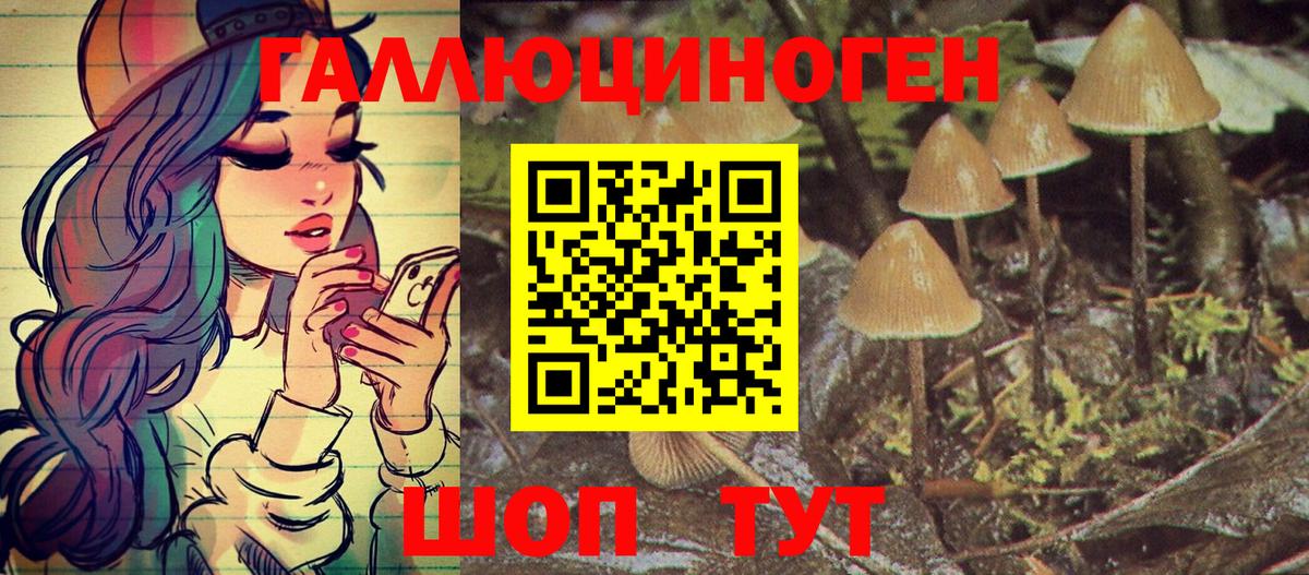 Галлюциногенные грибы Psilocybine cubensis  Вход с VPN  Петрозаводск 